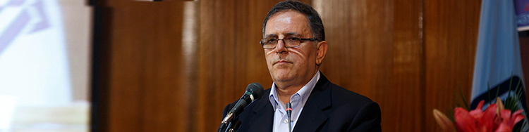 دستیابی به نرخ تورم 25 درصدی با اجرای فاز دوم هدفمندی